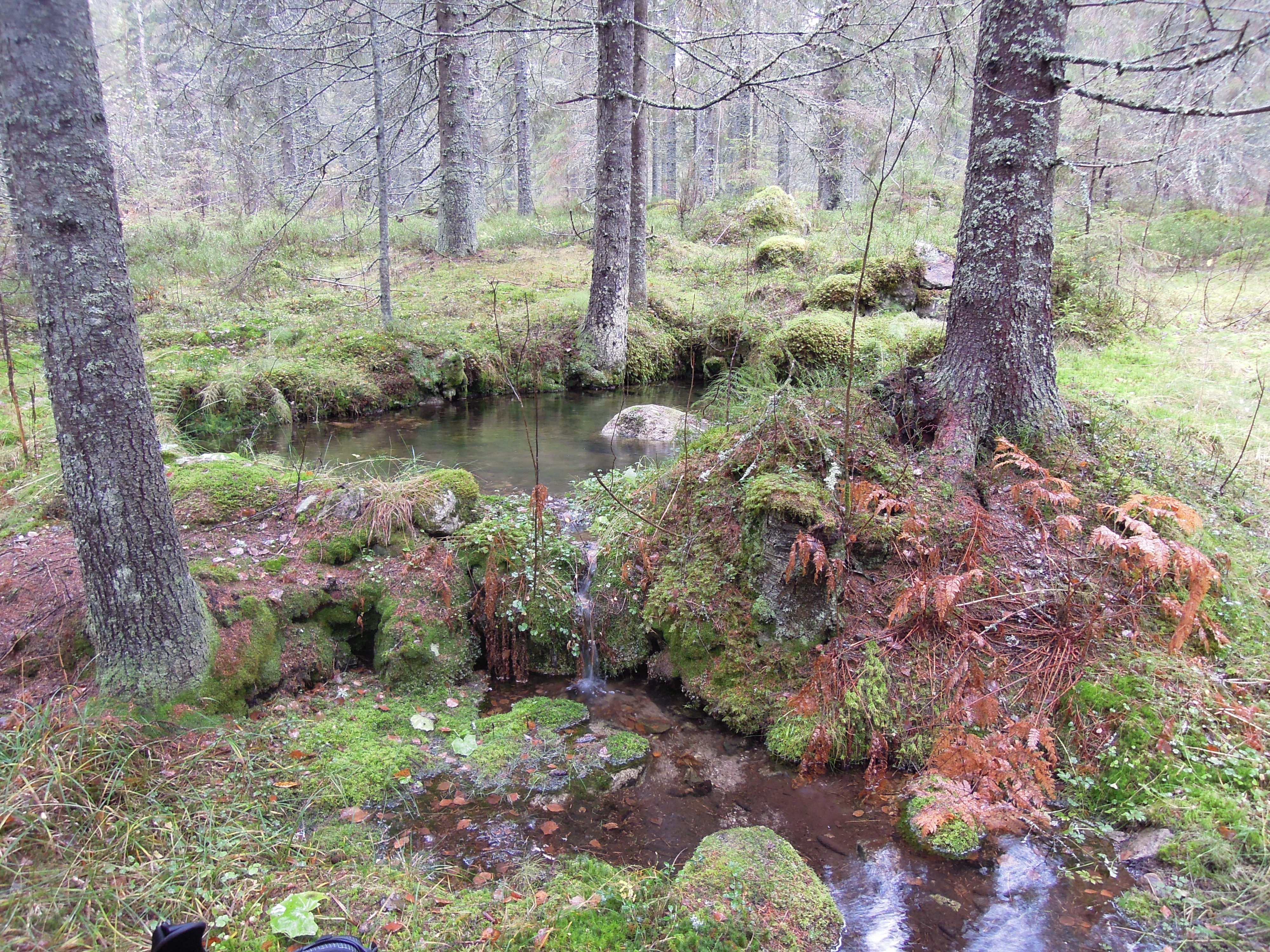 Grundvatten provplats