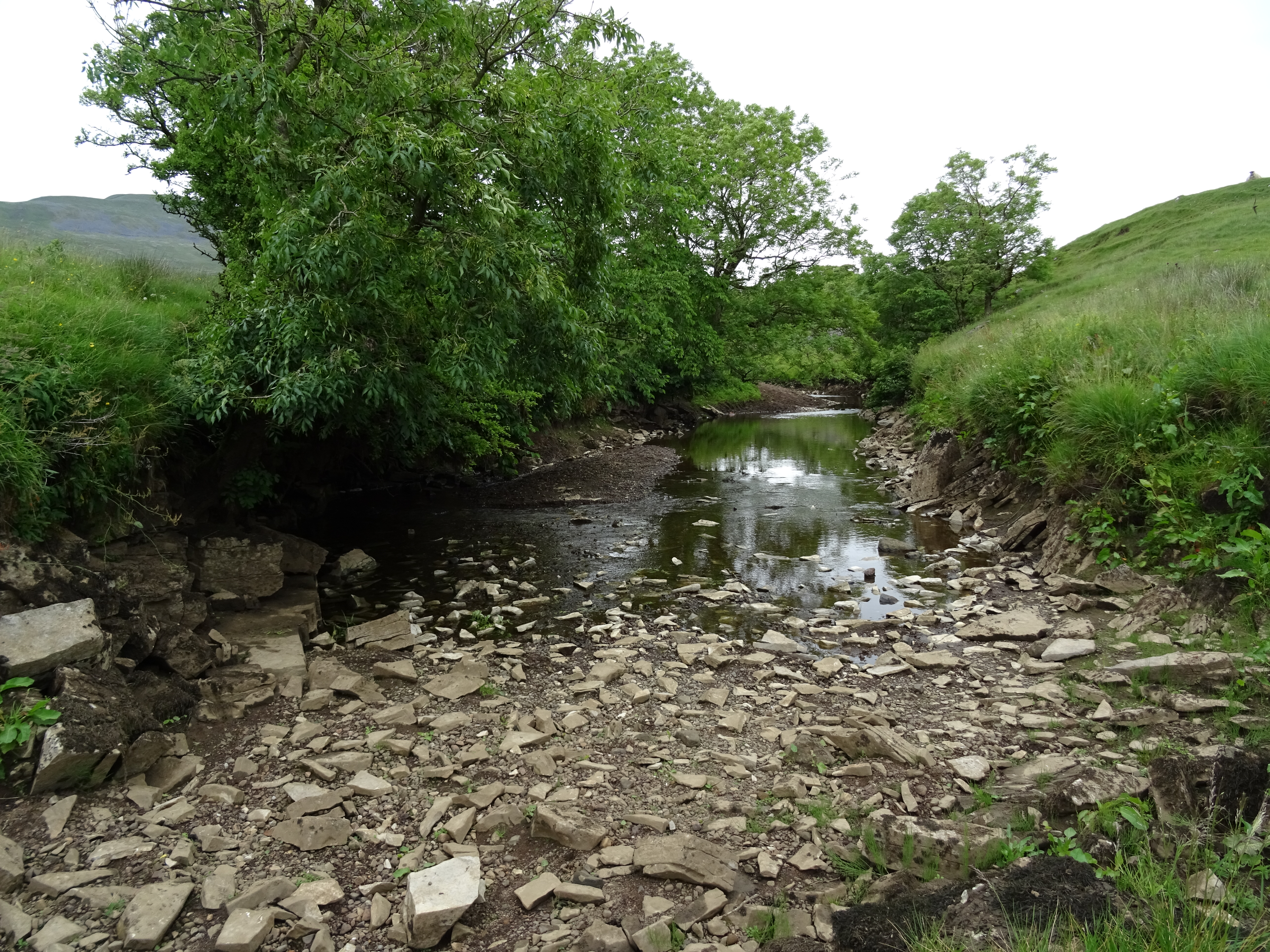 uttorkad vattenfåra