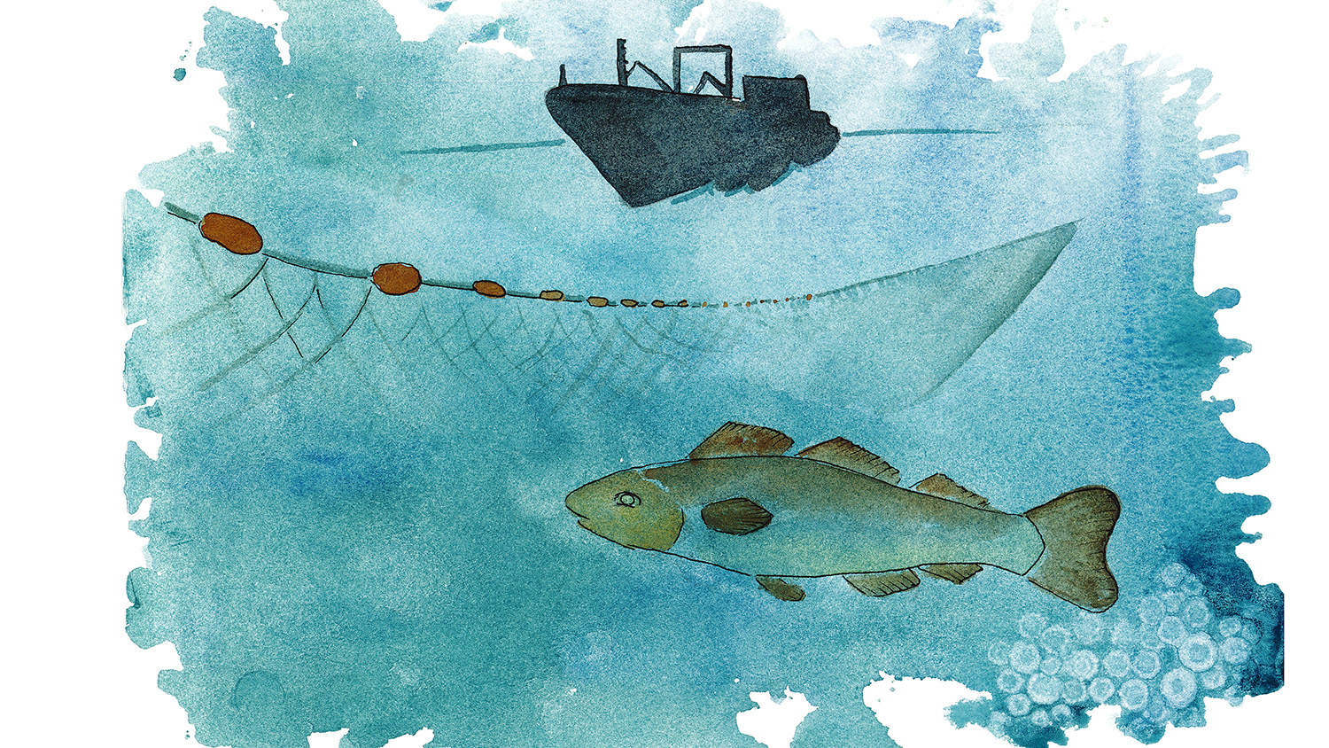 Akvarell som illustrerar fisk och fiske.