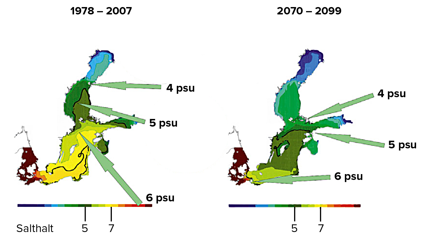 Kartor som visar historisk salthalt i svenska hav och exempel på förändring i salthalten framöver.