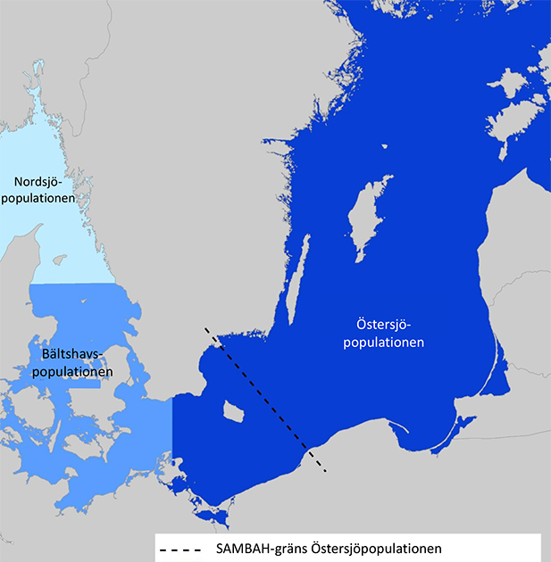 Karta tumlarpopulationer