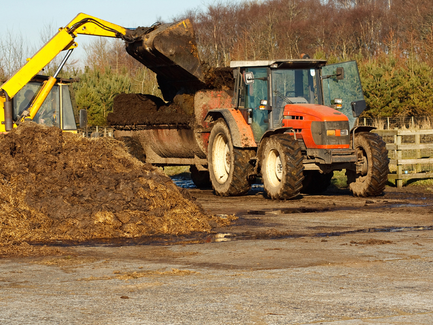 lastning av gödsel på traktorvagn