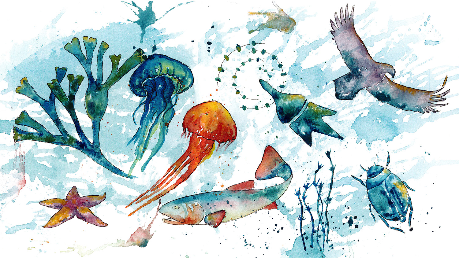 Akvarell som illustrerar mångfald.