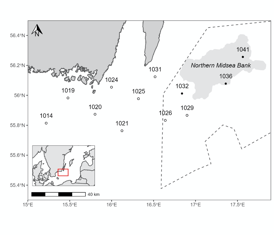 Karta Östersjöpopulation tumlare