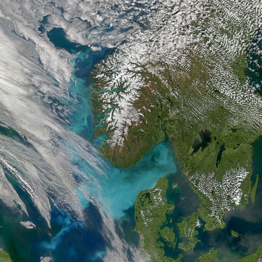 Satellitbild kalkflagellaten Emiliana 