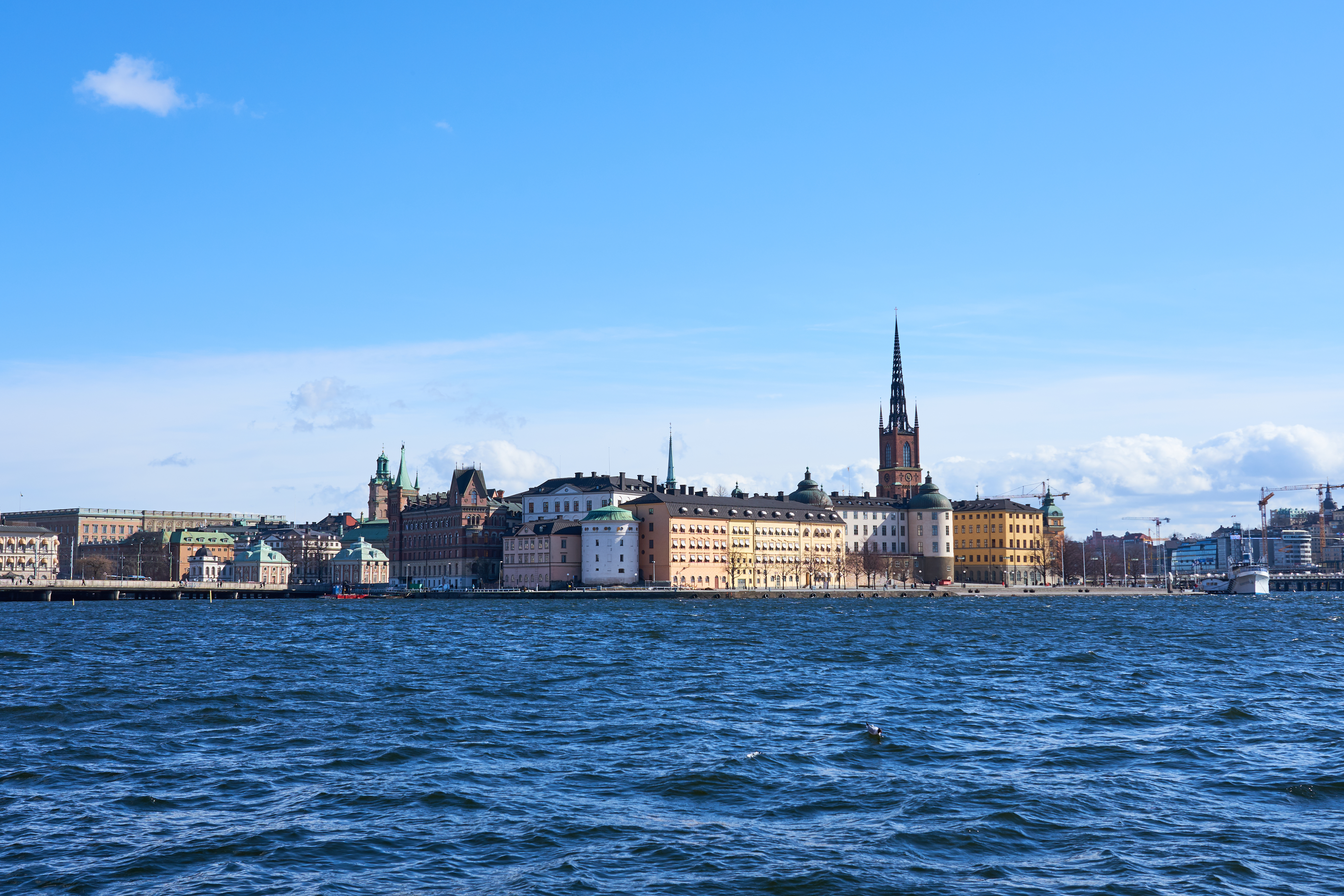 Stadssiluett i bakgrunden, vatten i förgrunden. Foto.