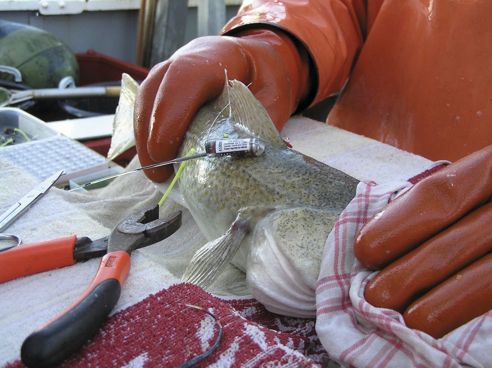 Närbild på sändare 