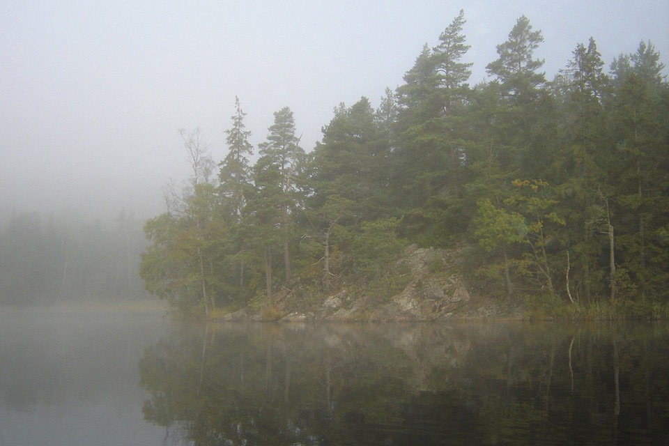 dimma ligger över skogssjö 