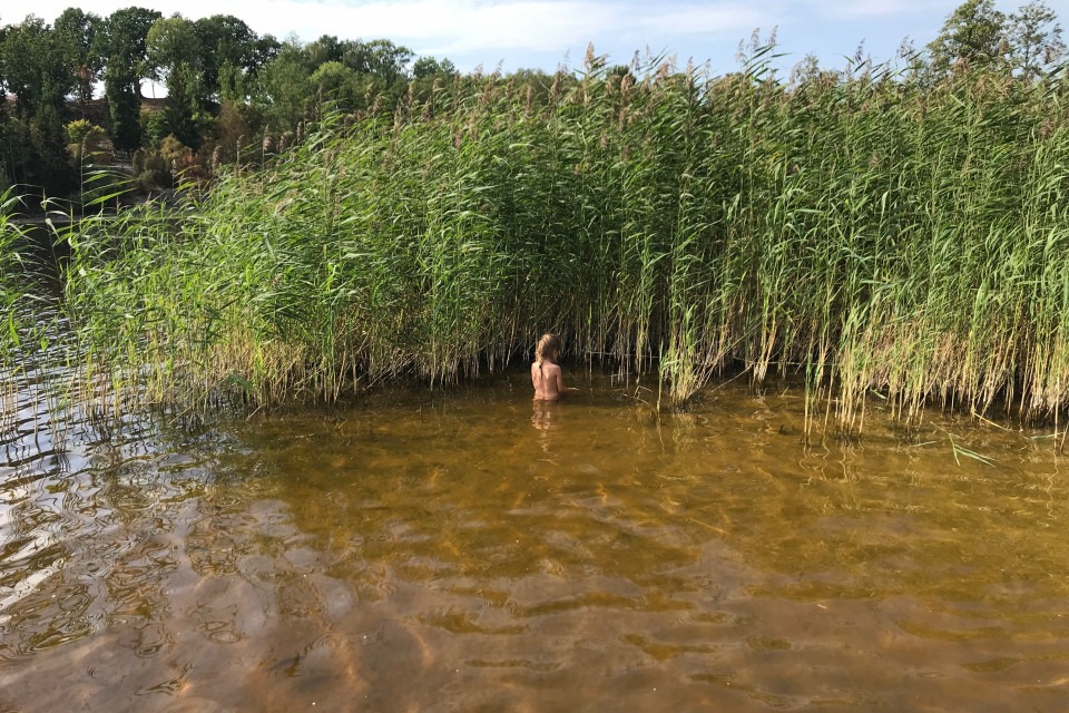 barn som badar vid vass i sjö