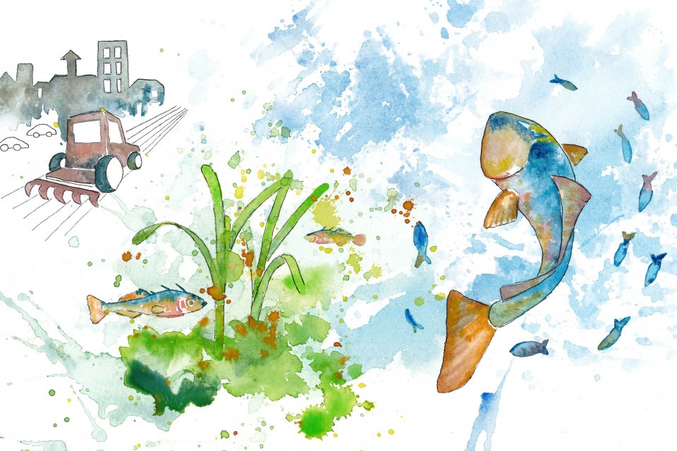 Akvarellillustration av övergödning