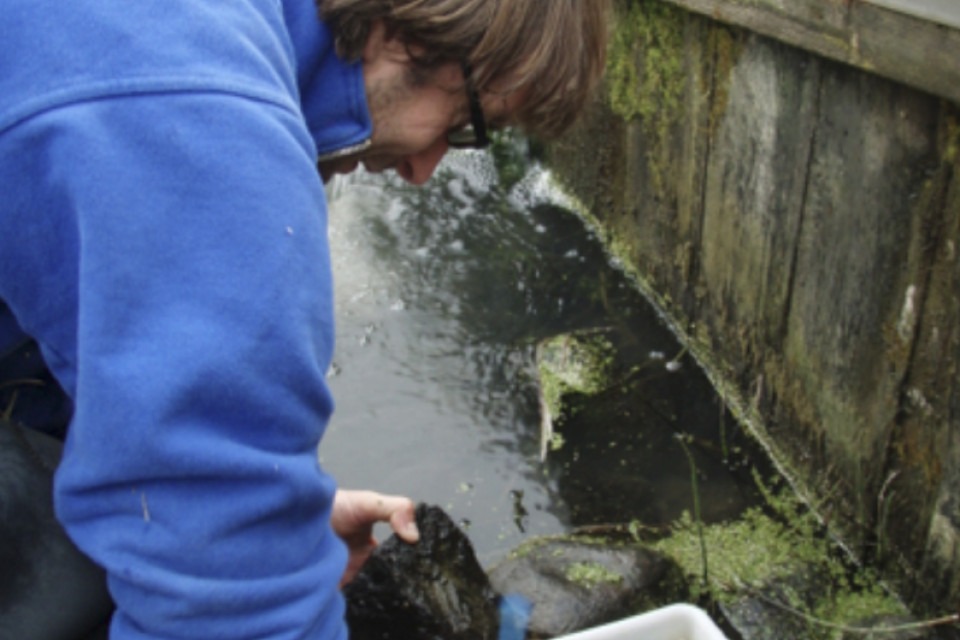 Provtagning kiselalger