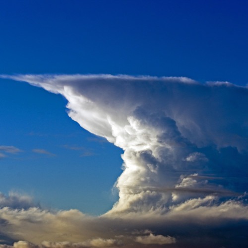 Cumulunimbus