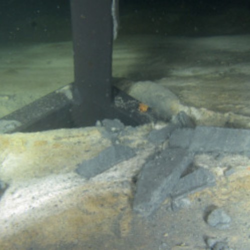 Svavelbakterien Beggiatoa breder ut sig över bottenytan